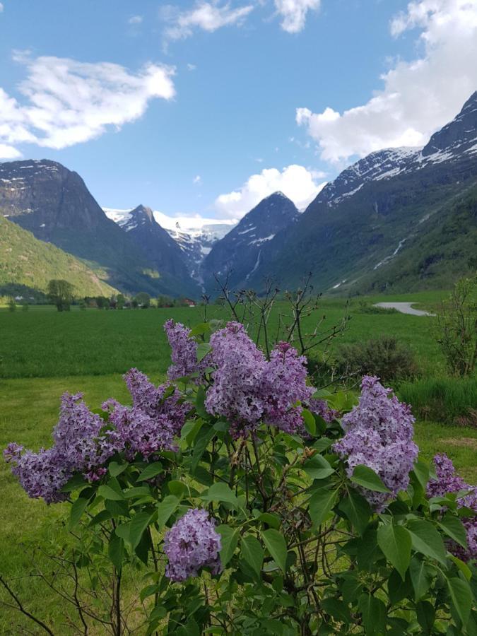 Glacier And Waterfall ViewBriksdalsbre エクステリア 写真